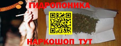 стаф Аша