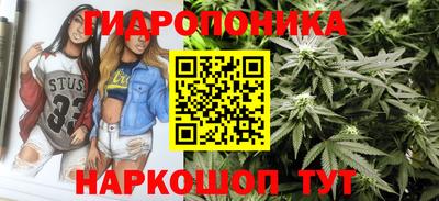 стаф Ачхой-Мартан